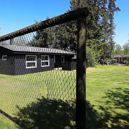 6 Person In Saeby-by Traum